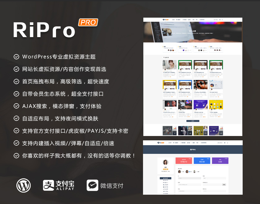 WordPress主题RiPro5.8最新破解版去授权