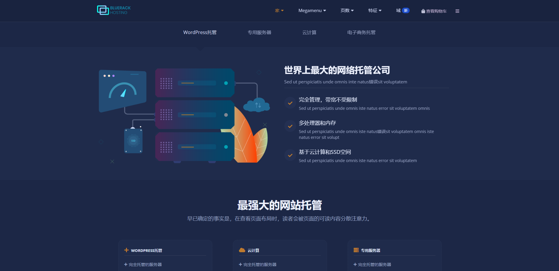 WHMCS模板Bluerack自适应专业服务器销售托管模板